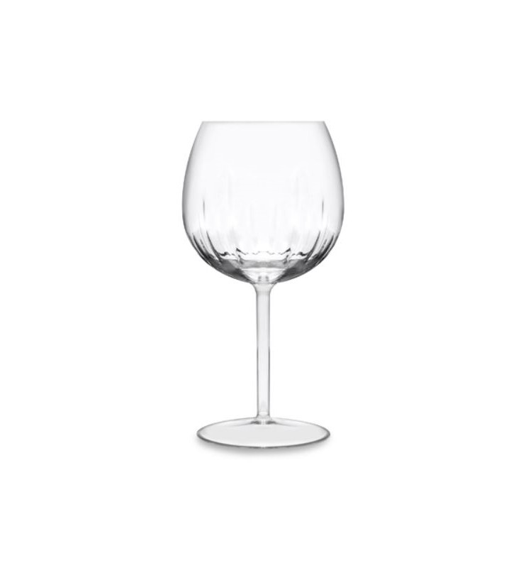 Bicchieri ballon vino plastica tritan eleganti, trasparenti